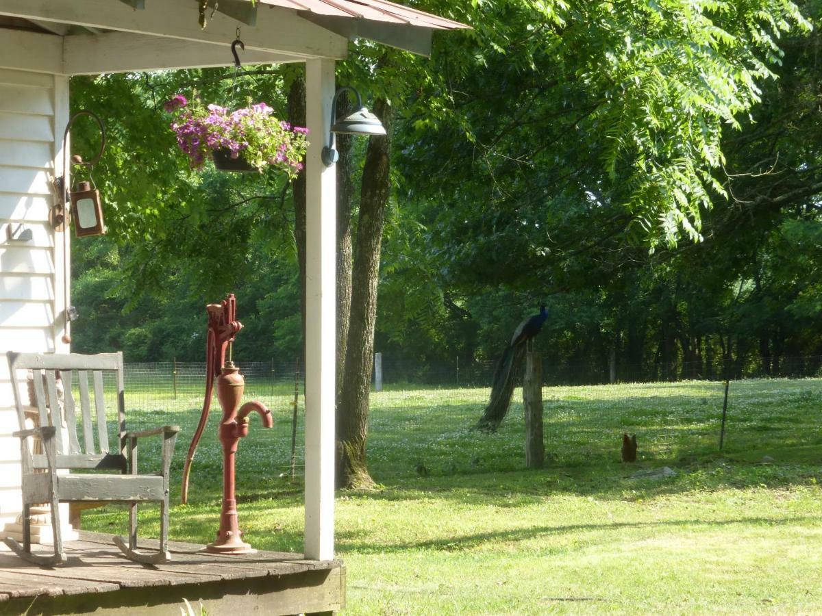 Mulberry Lavender Farm And B&B Buitenkant foto