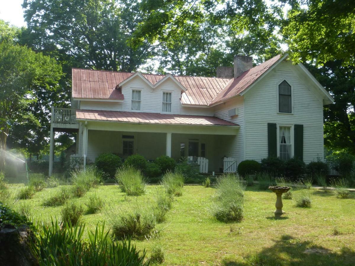 Mulberry Lavender Farm And B&B Buitenkant foto