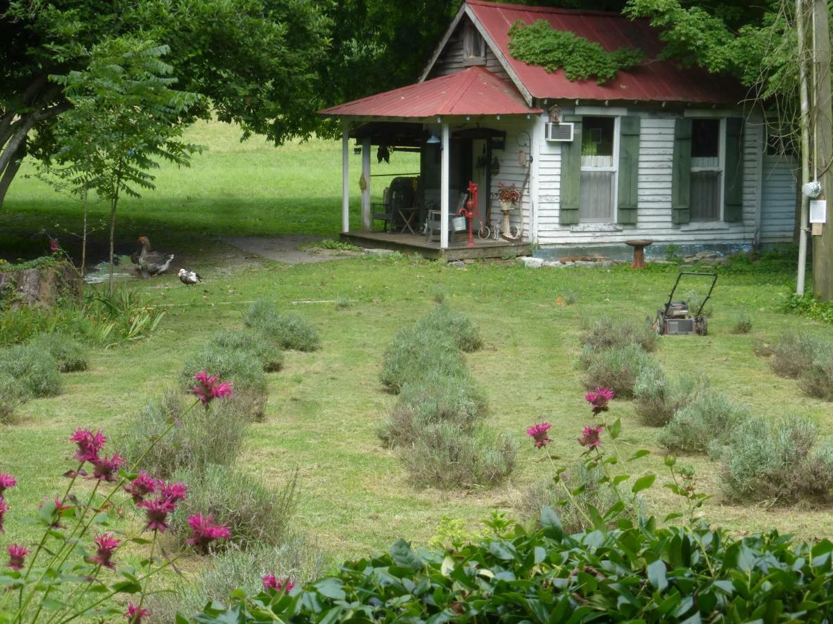 Mulberry Lavender Farm And B&B Buitenkant foto